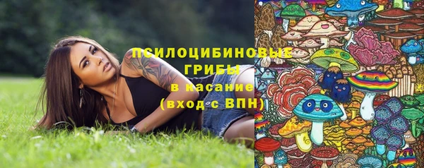 ECSTASY Алзамай