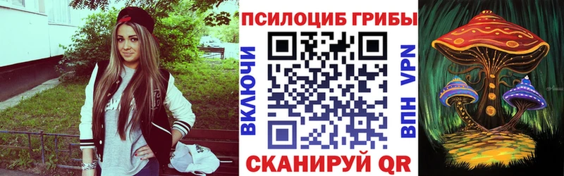Галлюциногенные грибы Psilocybine cubensis  omg   Жуковка  где найти  